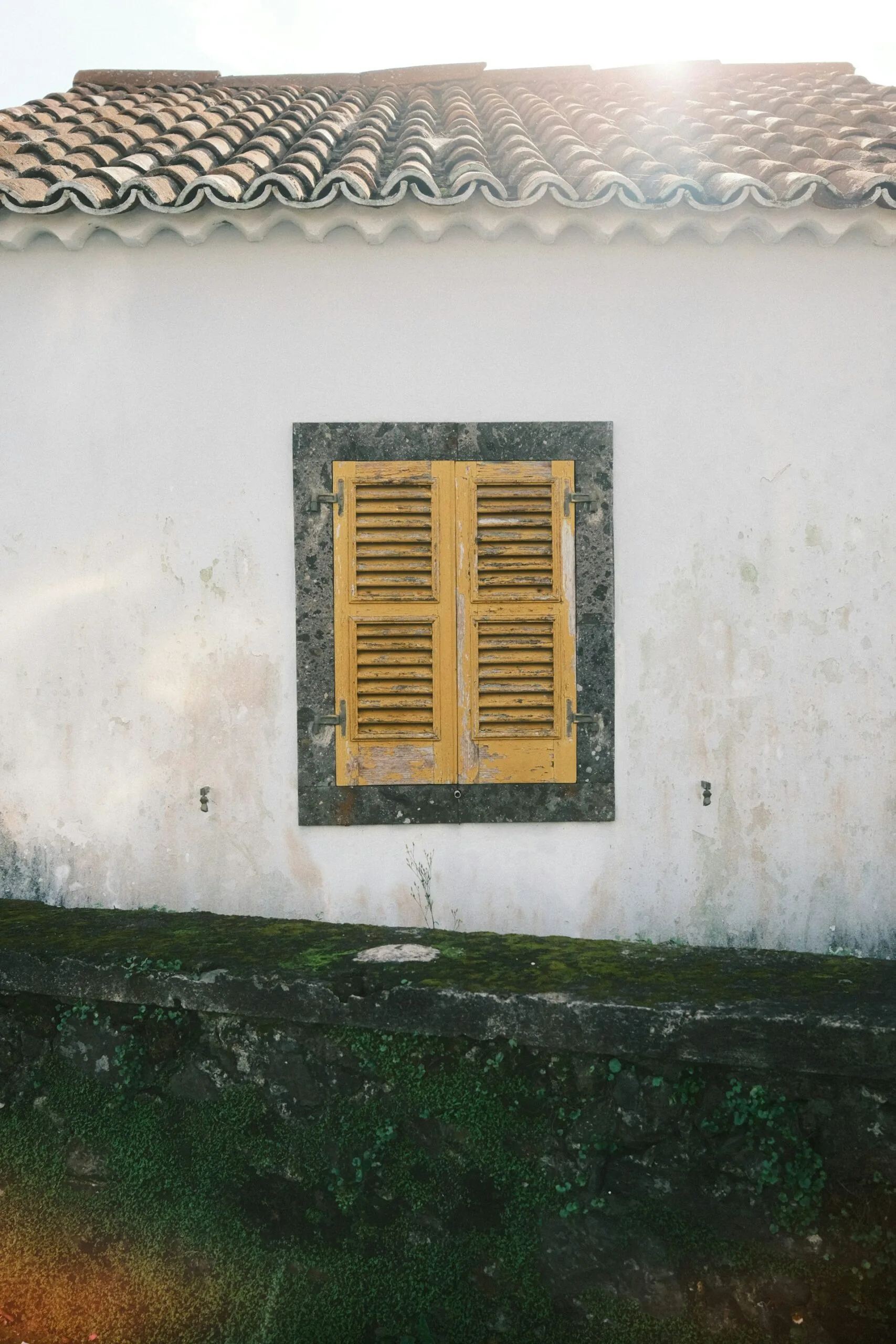 Preventing Mold and Mildew in Vancouver WA