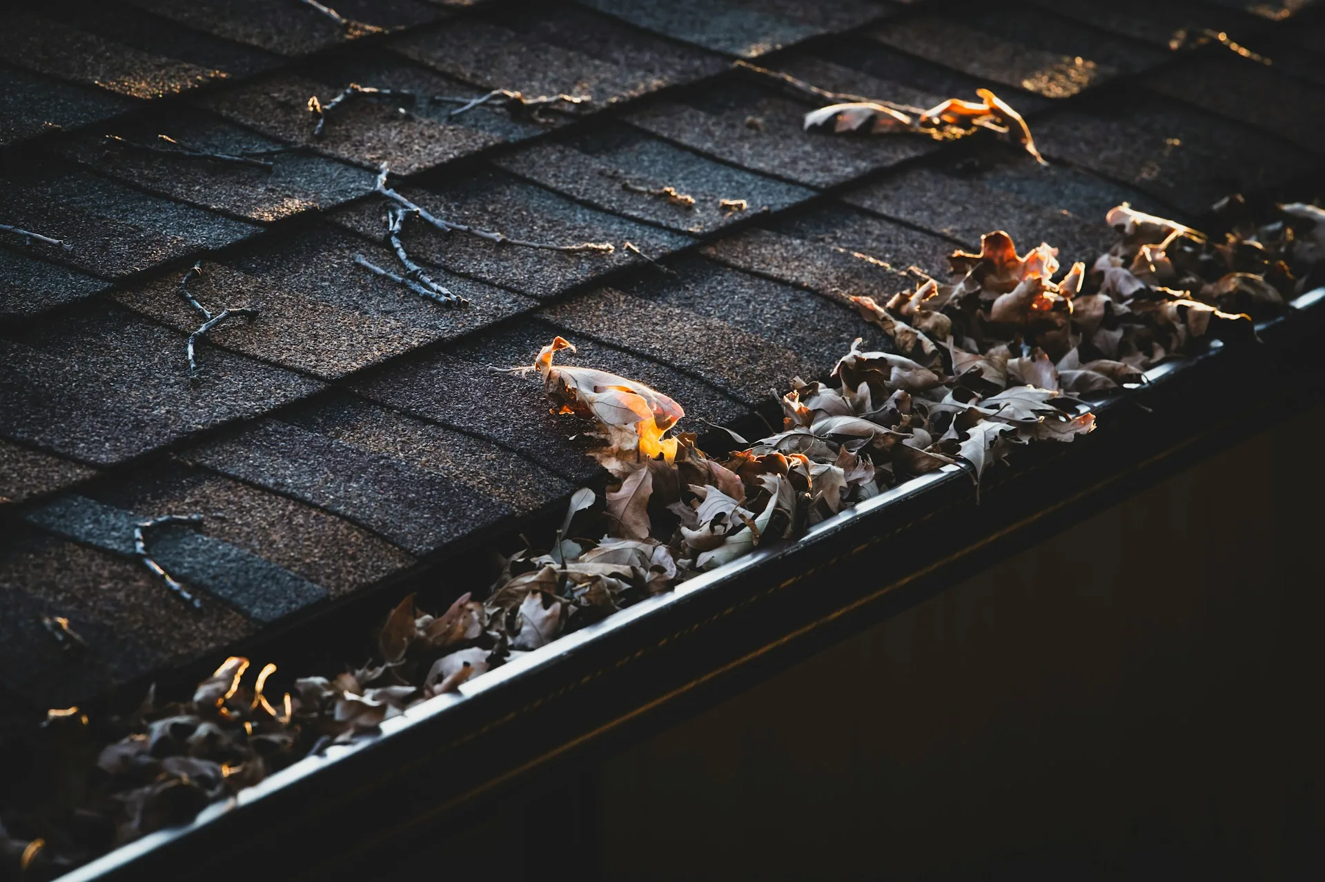 Gutter Guards Bend Oregon: Advanced Protection for Your Home’s Drainage System