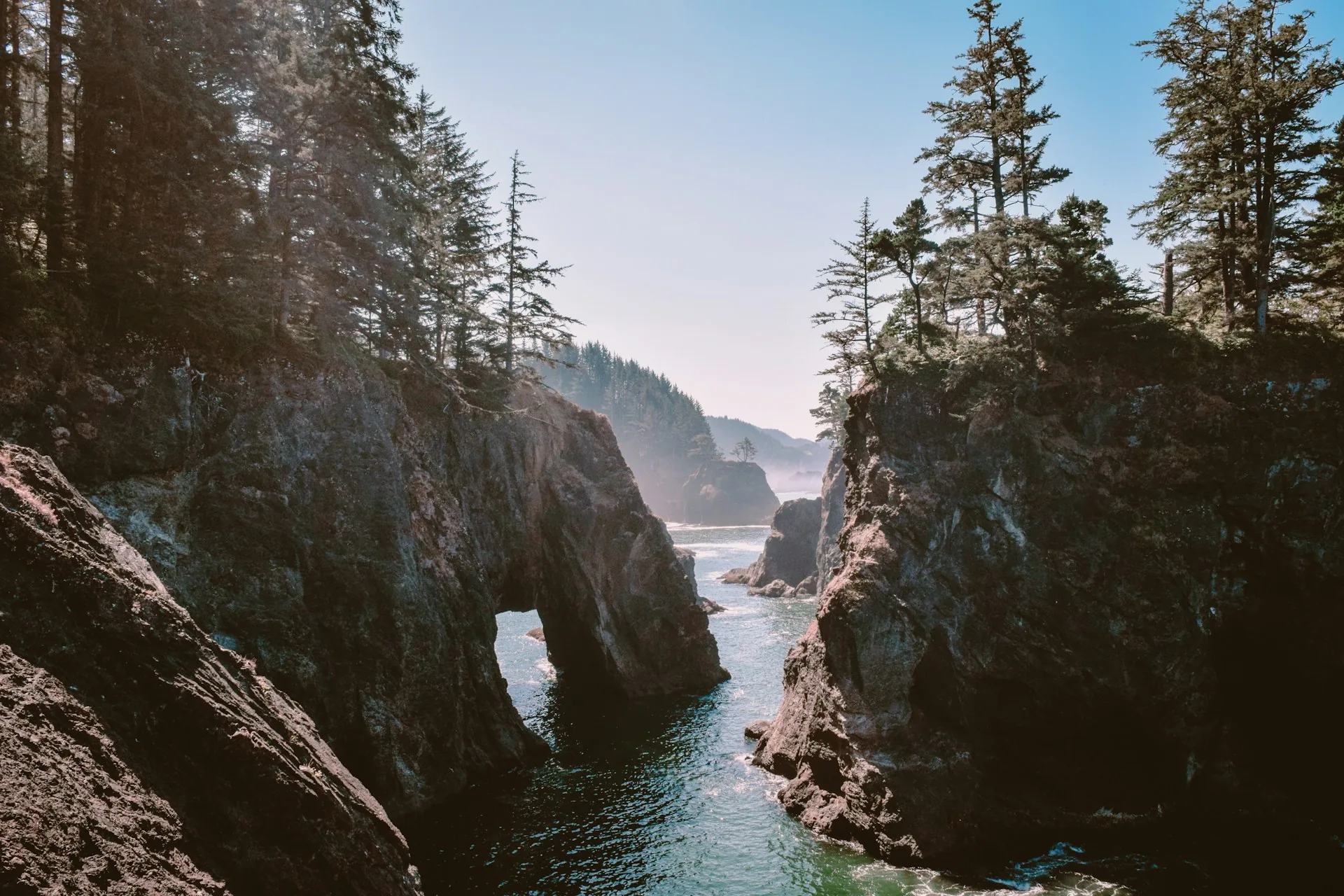 Embracing Northwest Beauty From Home